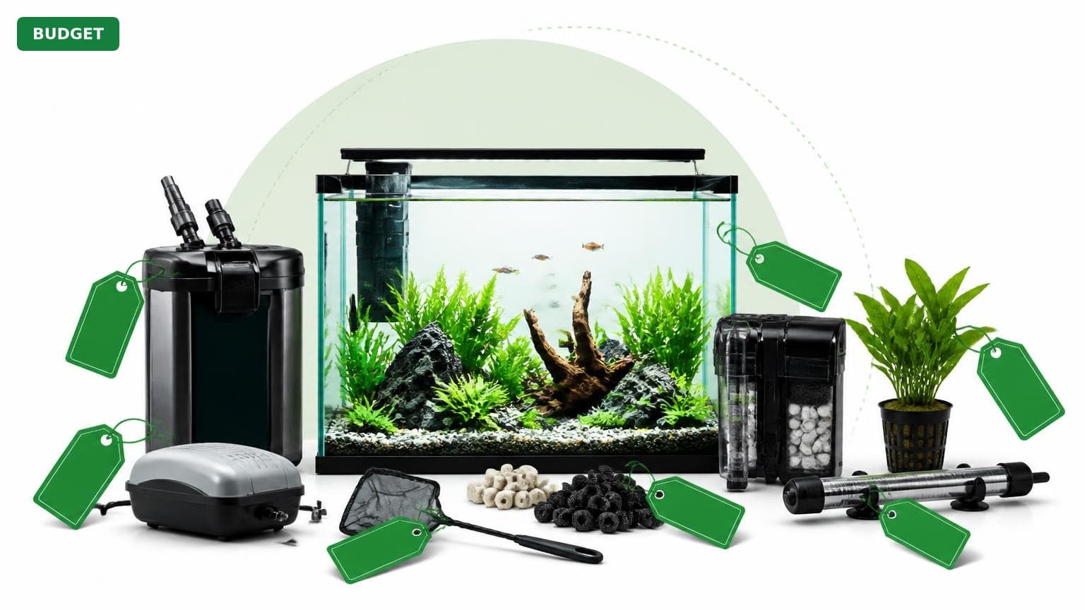 Complete Aquarium Setup for Under $300 (2025)