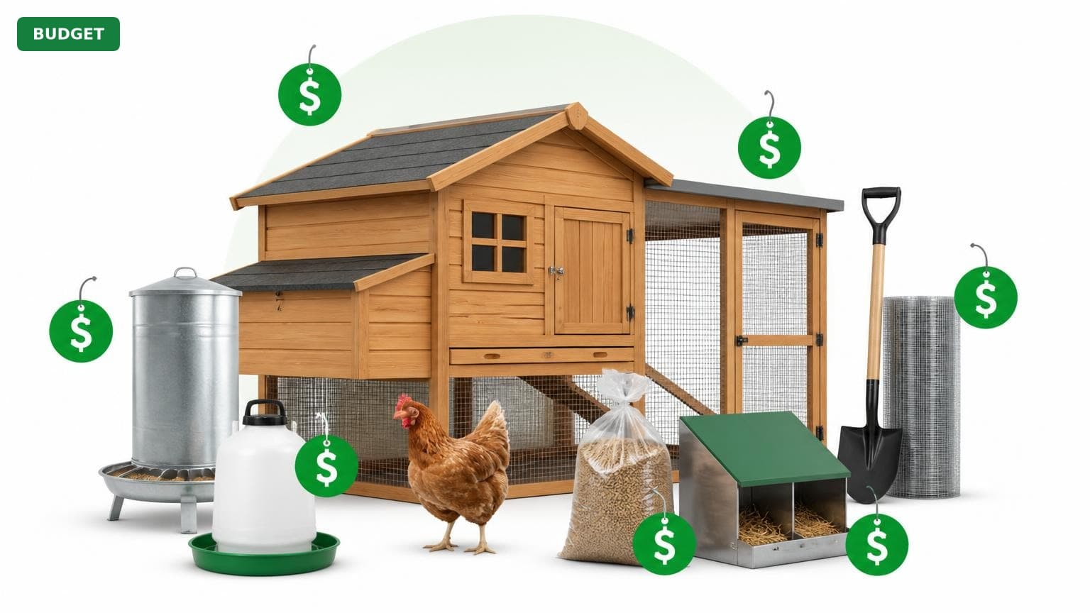 Complete Chicken Coop Setup for Under $600 (2025)