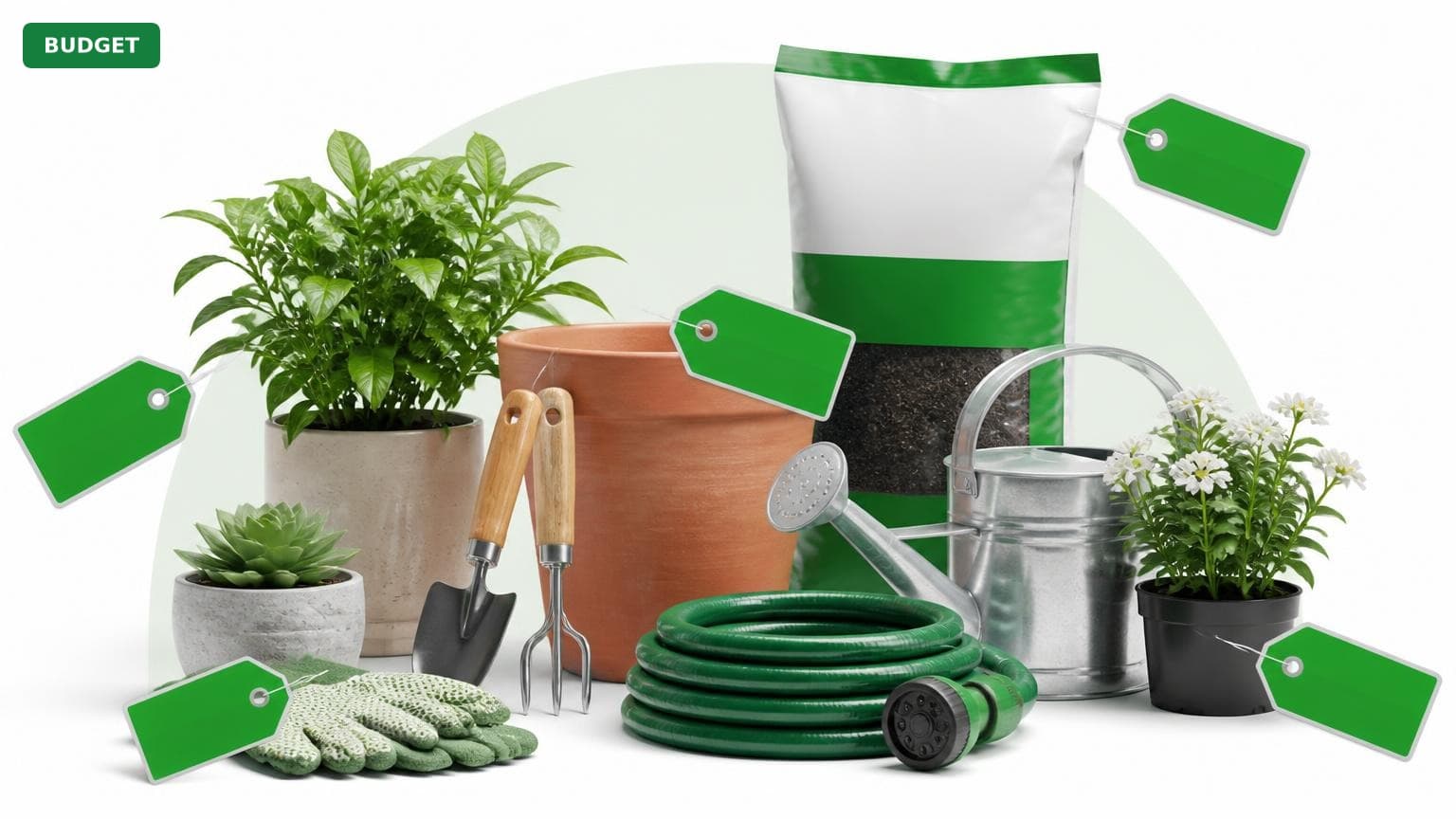 Complete Garden Setup for Under $250 (2025)