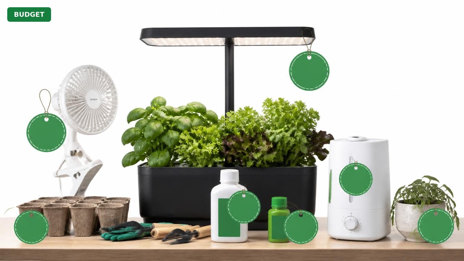 Complete Indoor Garden Setup for Under $200 (2025)