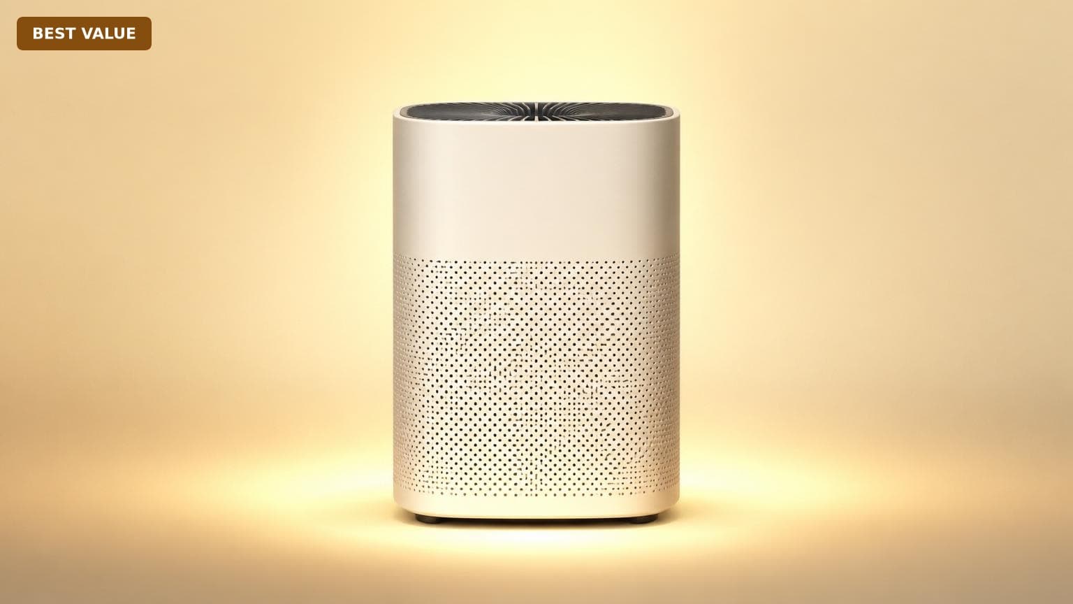 Is Best value Air Purifiers for Large Rooms Worth It? Honest Revā¦
