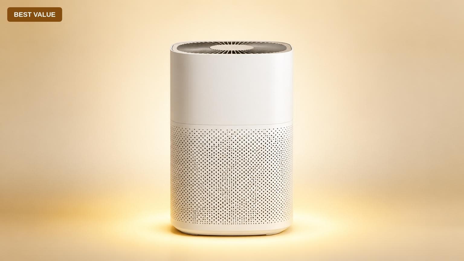 Is Best value Air Purifiers Worth It? Honest Review (2026)