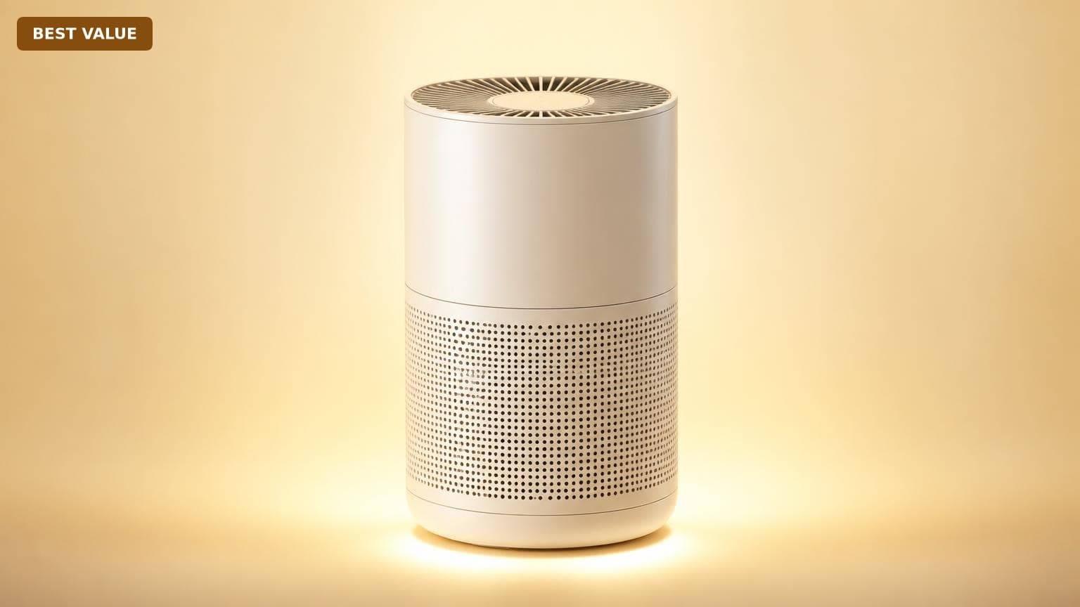 Is Best value Air Purifiers Worth It? Honest Review (2026)