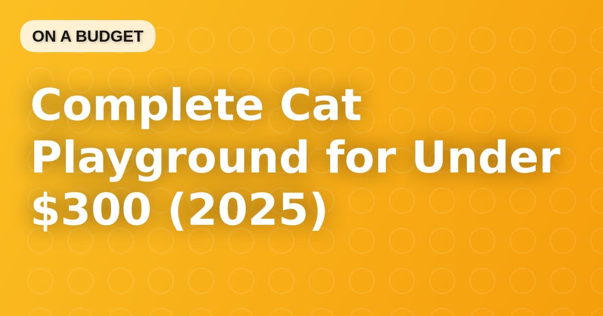 Complete Cat Playground for Under $300 (2025)