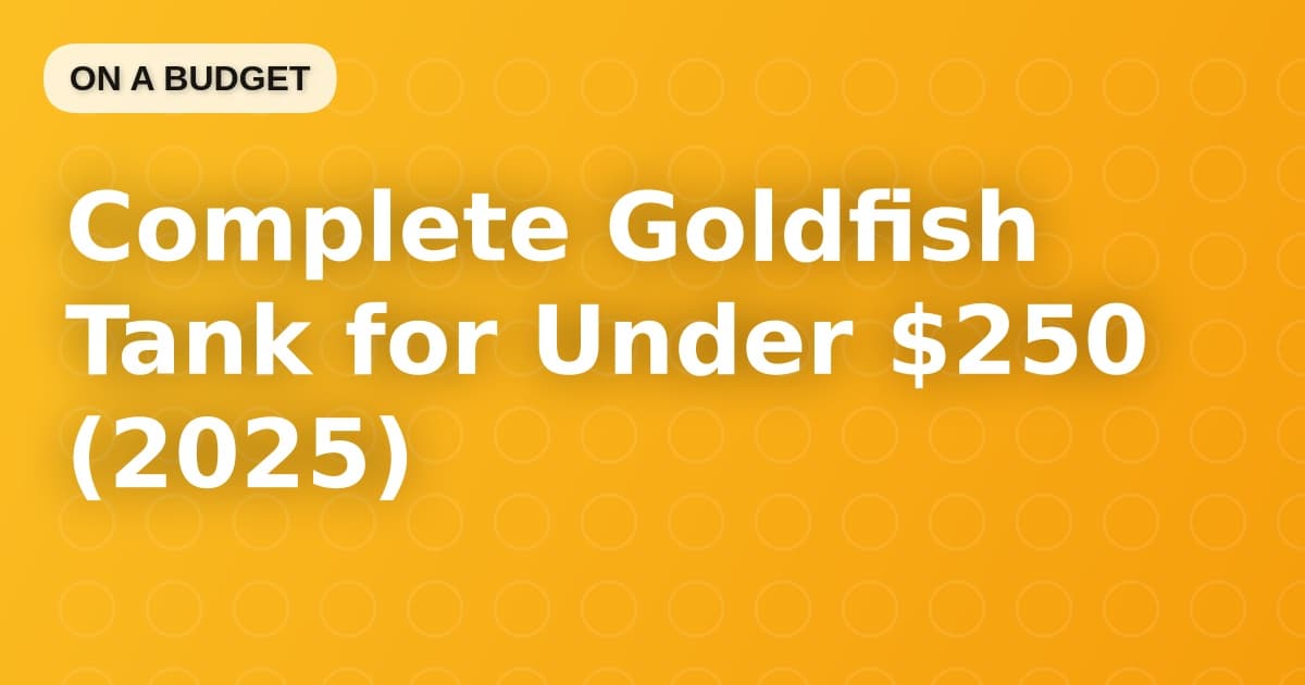 Complete Goldfish Tank for Under $250 (2025)
