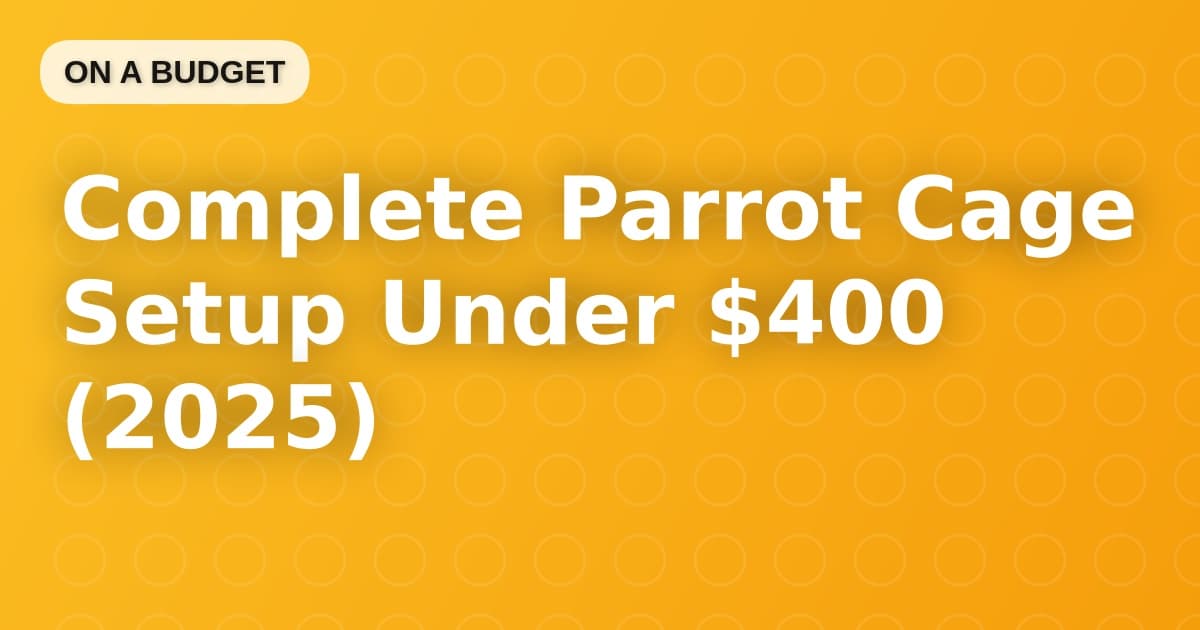 Complete Parrot Cage Setup Under $400 (2025)