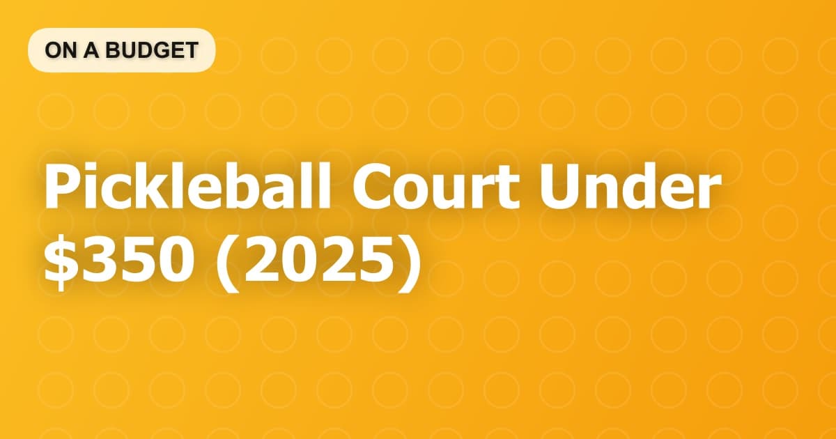 Pickleball Court Under $350 (2025)