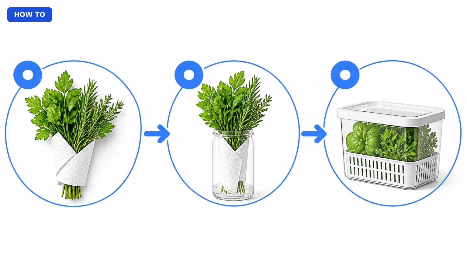 Best How to Store Fresh Herbs (Keep Them Longer) (2026): Expertsβ¦