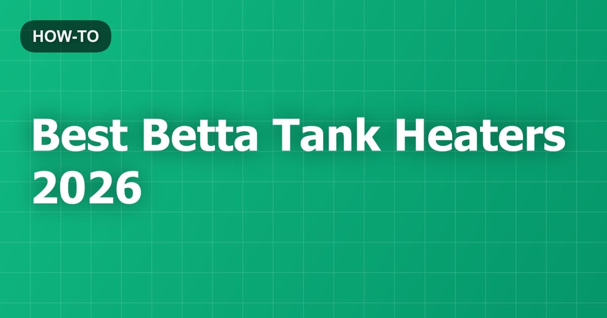 Best Betta Tank Heaters 2026