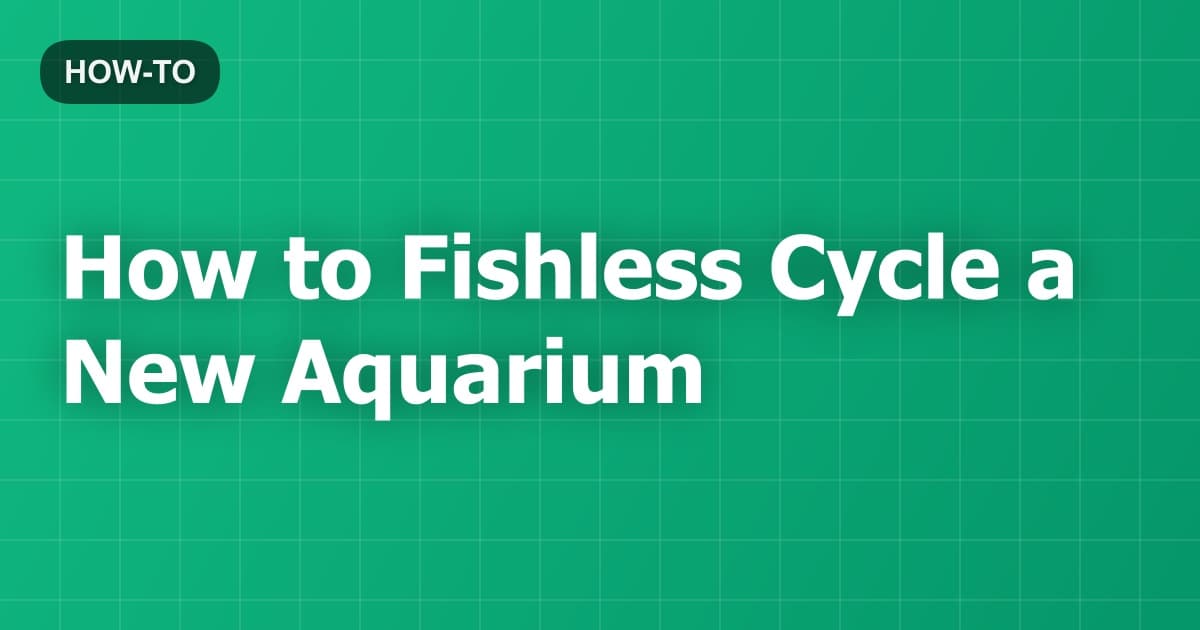 How to Fishless Cycle a New Aquarium