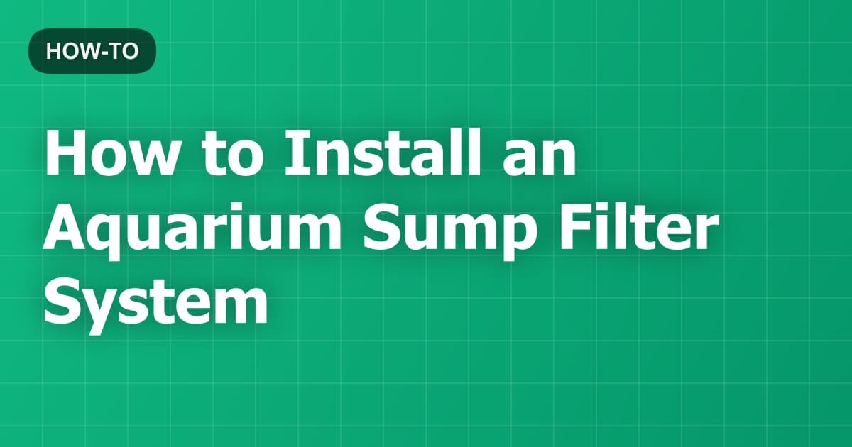 How to Install an Aquarium Sump Filter System
