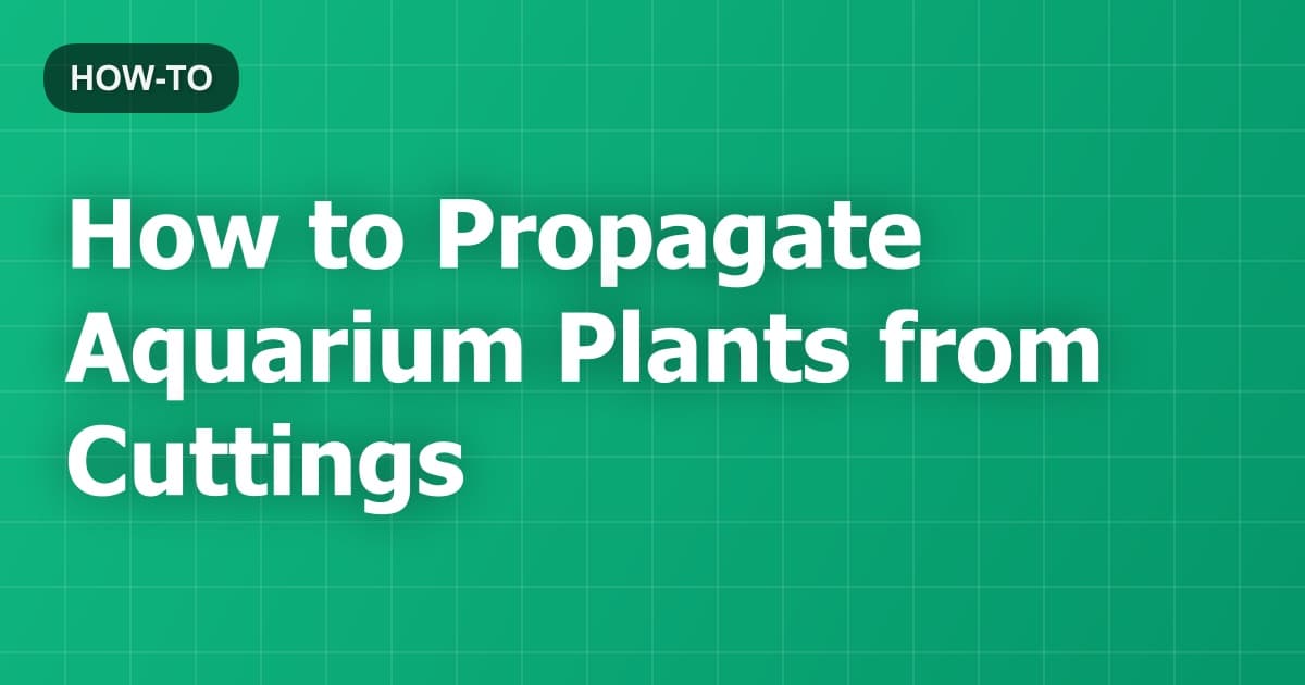 How to Propagate Aquarium Plants from Cuttings