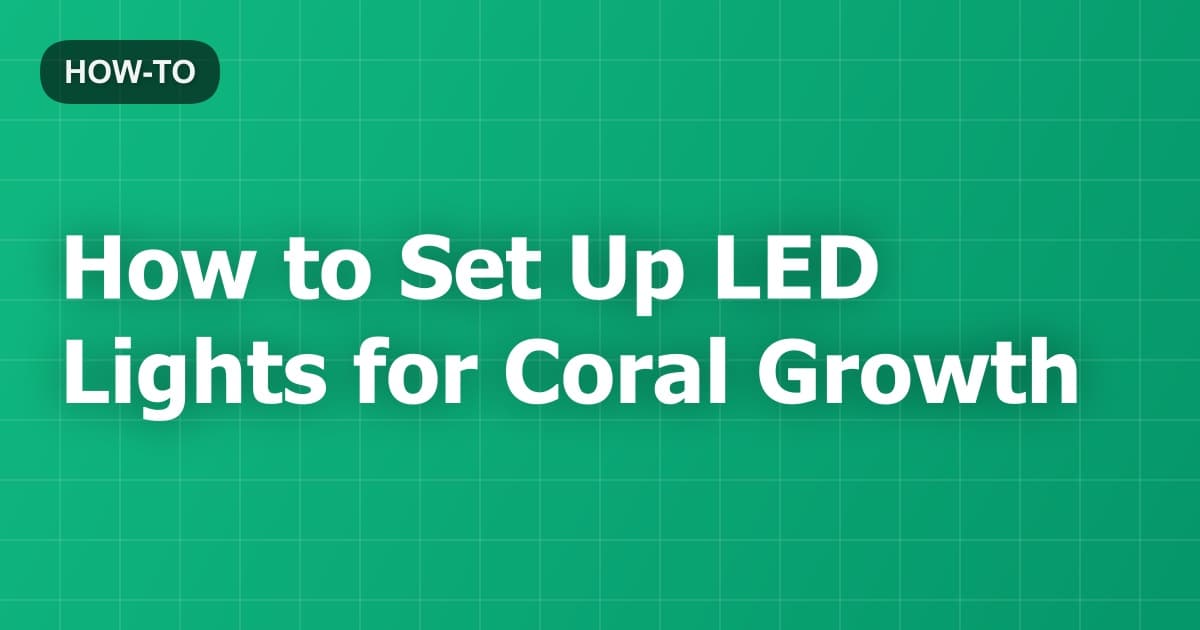 How to Set Up LED Lights for Coral Growth