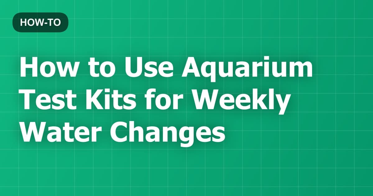 How to Use Aquarium Test Kits for Weekly Water Changes