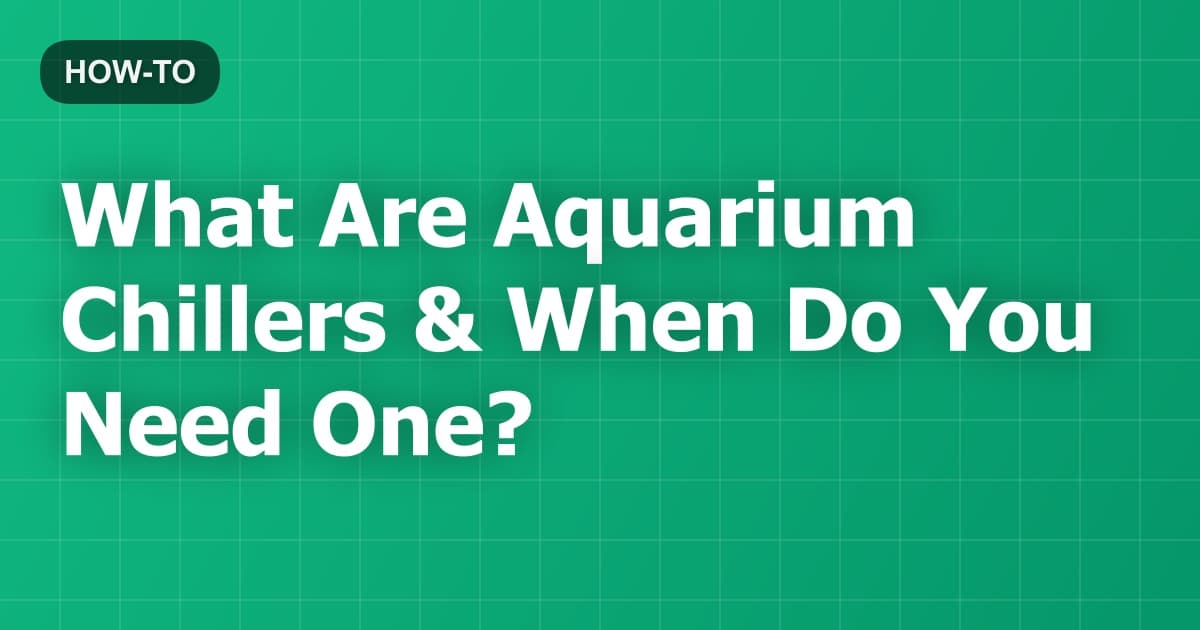 What Are Aquarium Chillers & When Do You Need One?