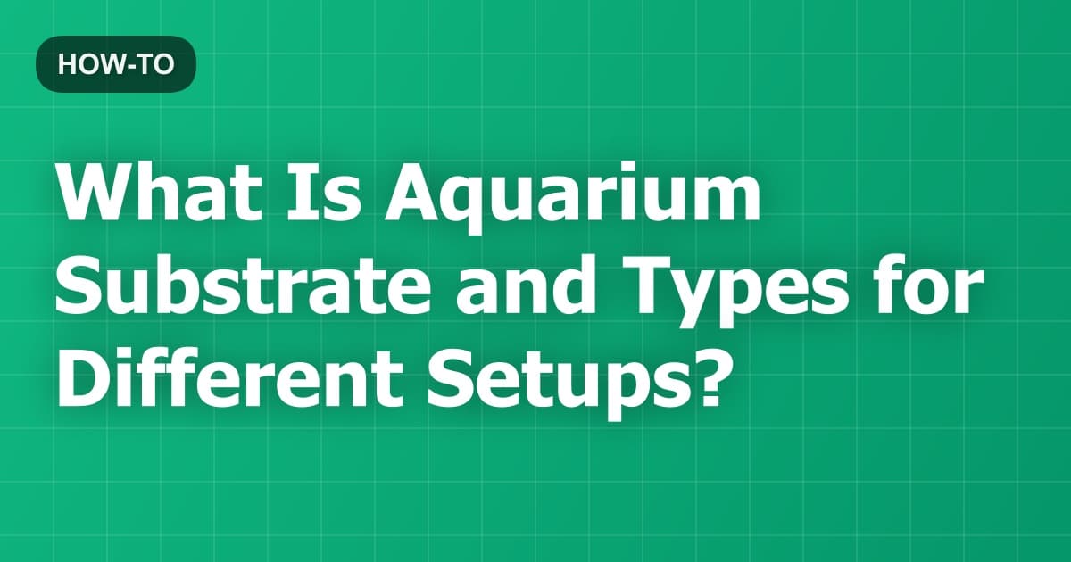 What Is Aquarium Substrate and Types for Different Setups?