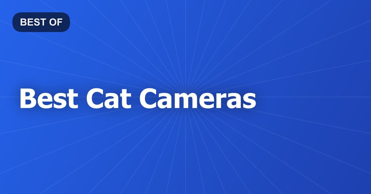 Best Cat Cameras