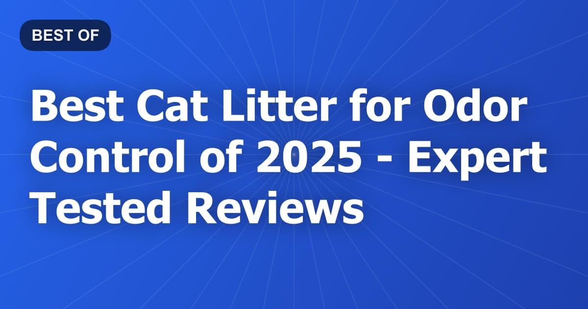 Best Cat Litter for Odor Control of 2026 - Expert Tested Reviews