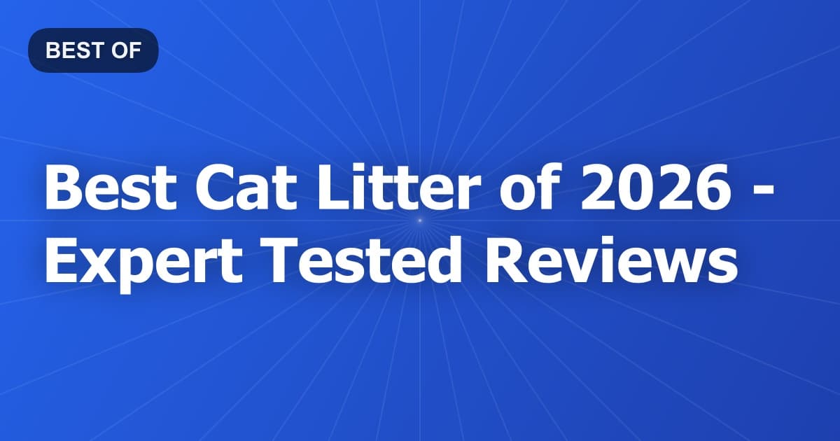 Best Cat Litter of 2026 - Expert Tested Reviews