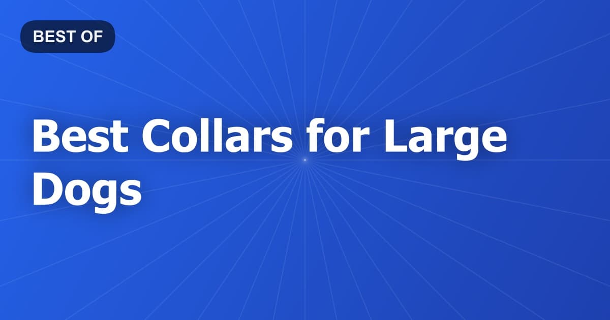 Best Collars for Large Dogs