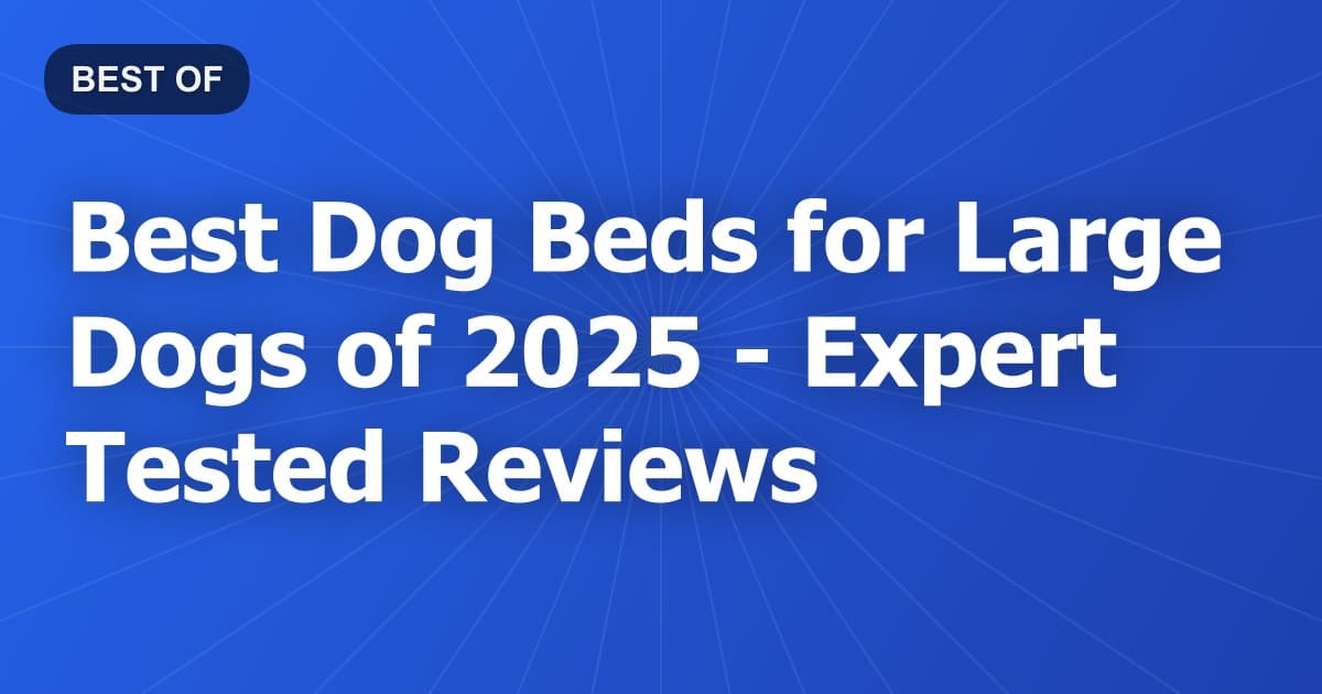 Best Dog Beds for Large Dogs of 2026 - Expert Tested Reviews