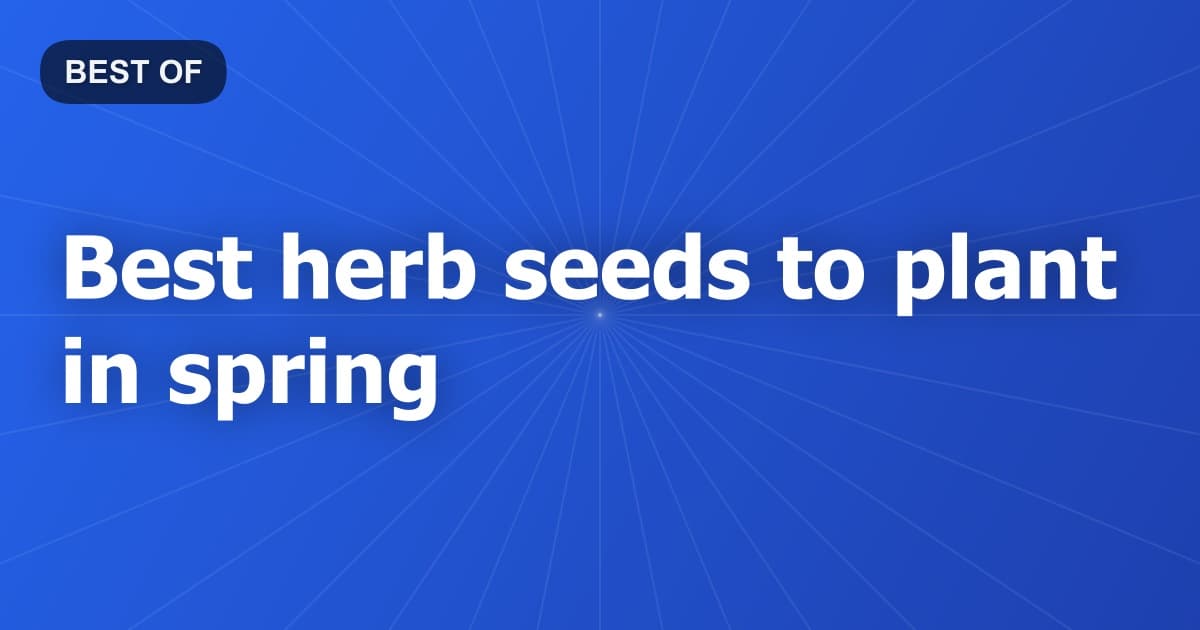 Best herb seeds to plant in spring