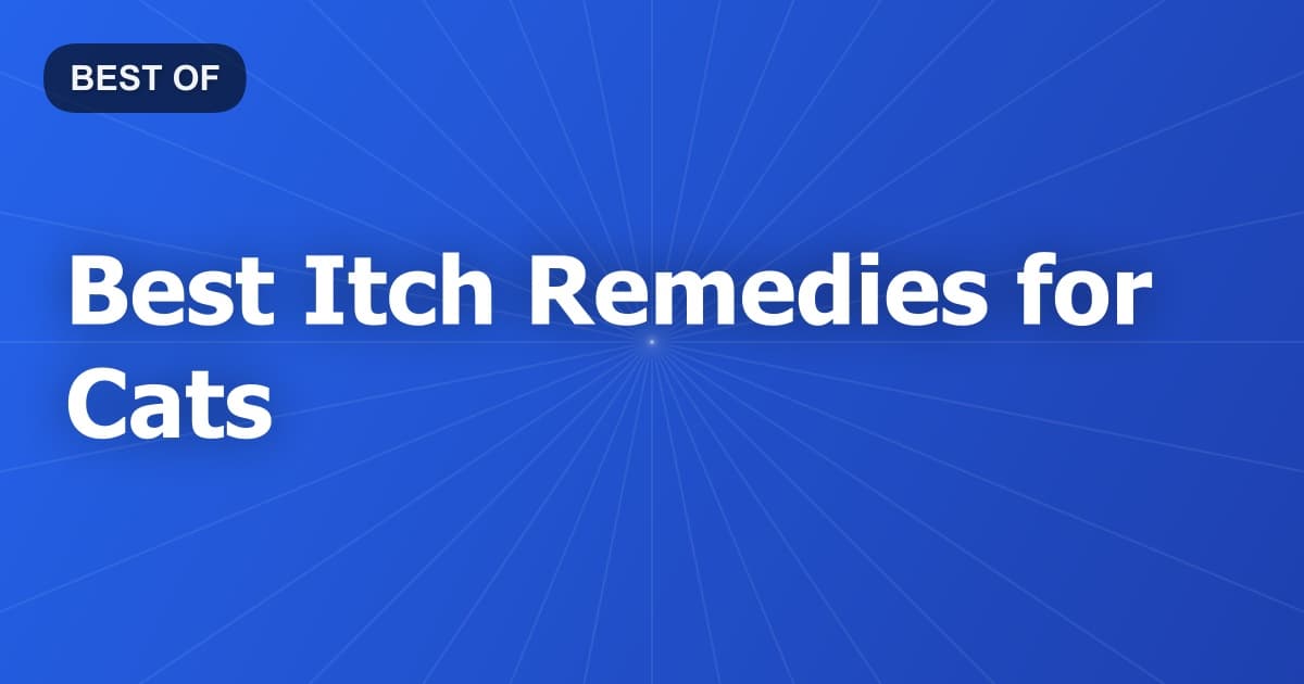 Best Itch Remedies for Cats