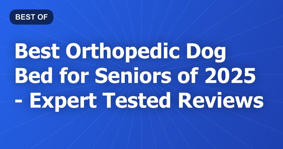 Best Orthopedic Dog Bed for Seniors of 2026 - Expert Tested Reviews