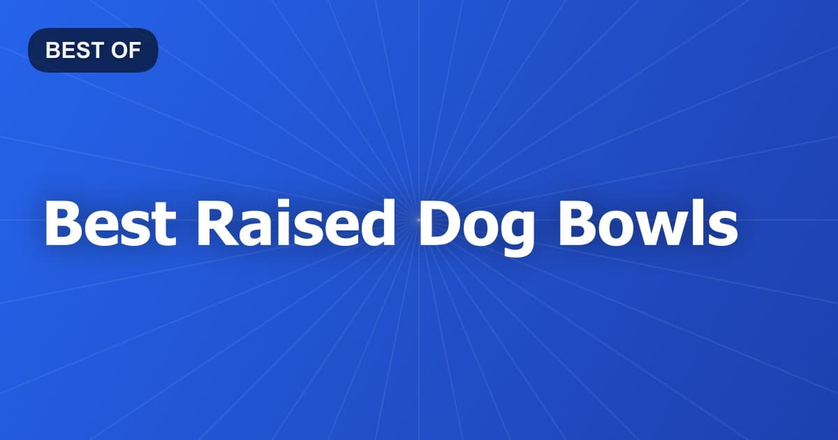 Best Raised Dog Bowls