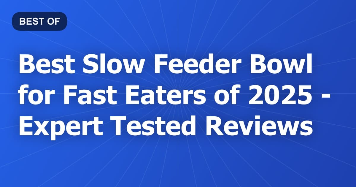 Best Slow Feeder Bowl for Fast Eaters of 2026 - Expert Tested Reviews