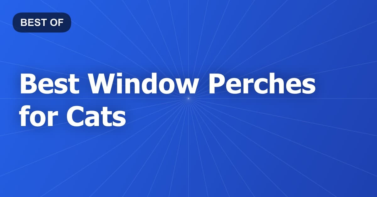 Best Window Perches for Cats
