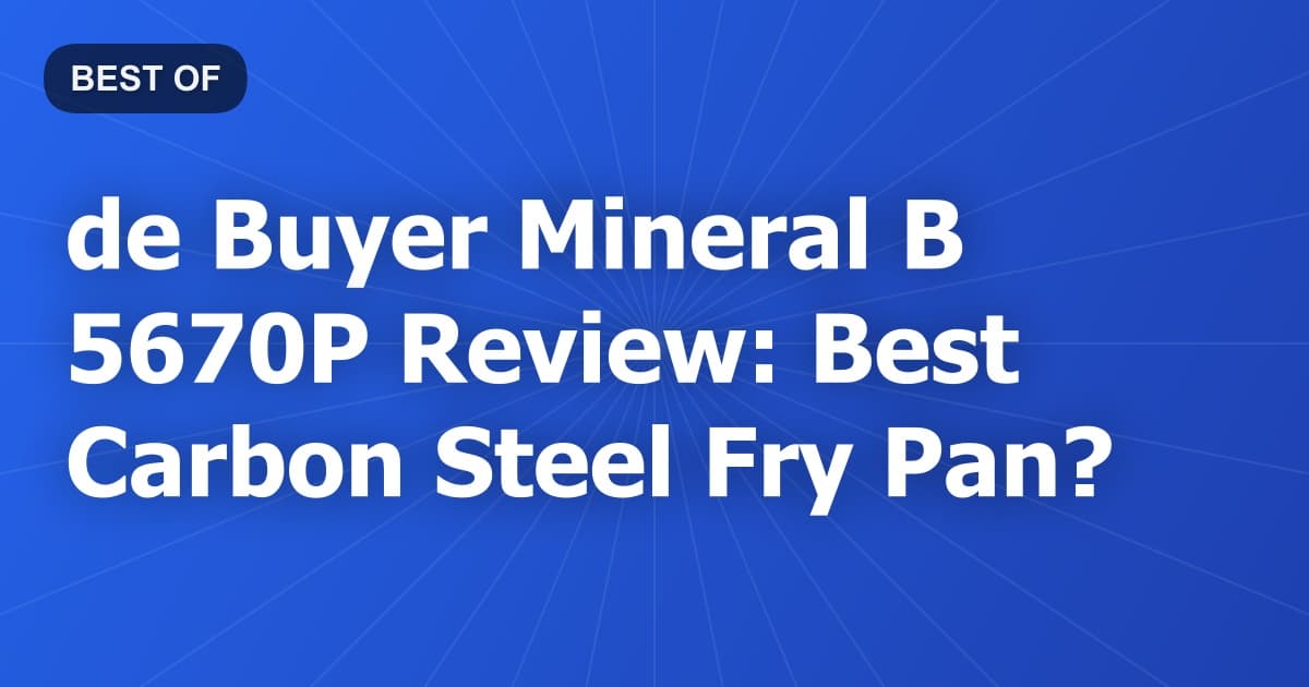 de Buyer Mineral B 5670P Review: Best Carbon Steel Fry Pan?