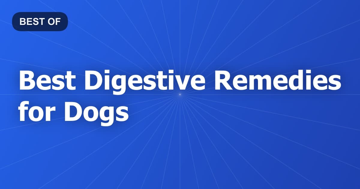 Best Digestive Remedies for Dogs