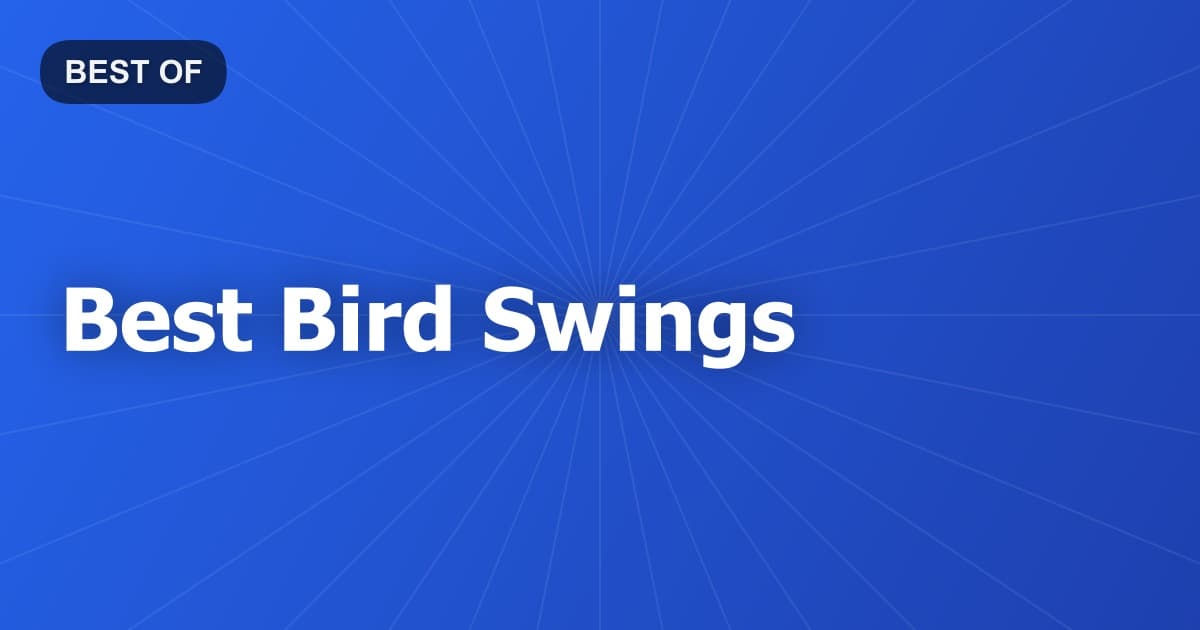 Best Bird Swings