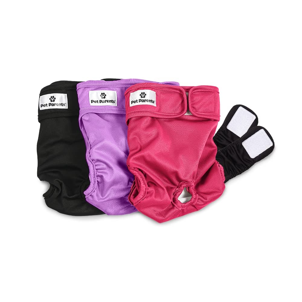 Pet Parents® Washable Dog Diapers (3pack) + Extendrs® of Durable Doggie Diapers, Premium Dog Diapers Female (Large, Princess) Princess Large (19-27")