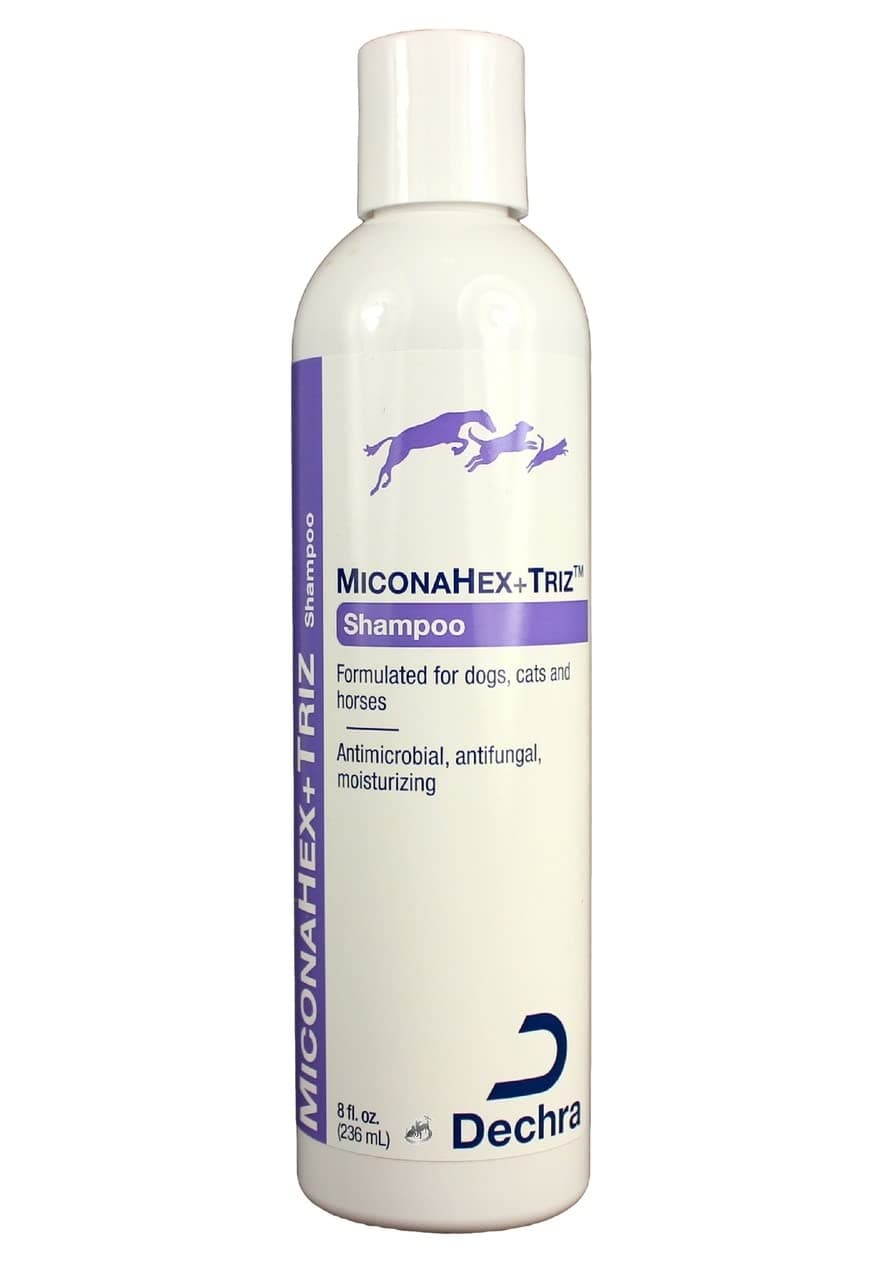 Dechra MiconaHex + Triz Shampoo for Dogs, Cats & Horses (8oz) 8 Ounce