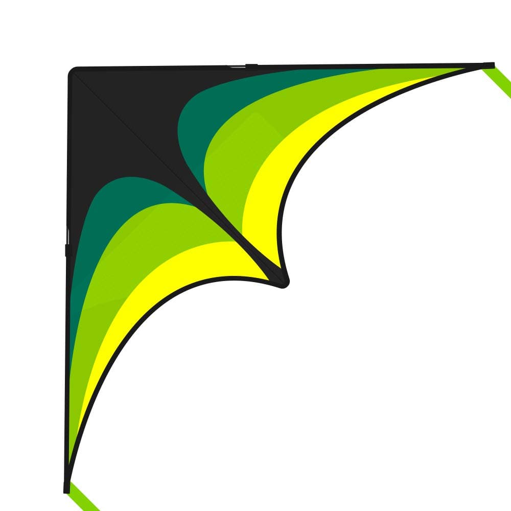 Mint's Colorful Life Delta Kite for Kids & Adults, Extremely Easy to Fly Kite, Best Kites for Beginner 1 Black Green
