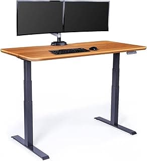 Vari Electric Standing Desk 2025