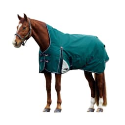 Best Horse Blankets & Sheets of 2025 - Expert Tested Reviews
