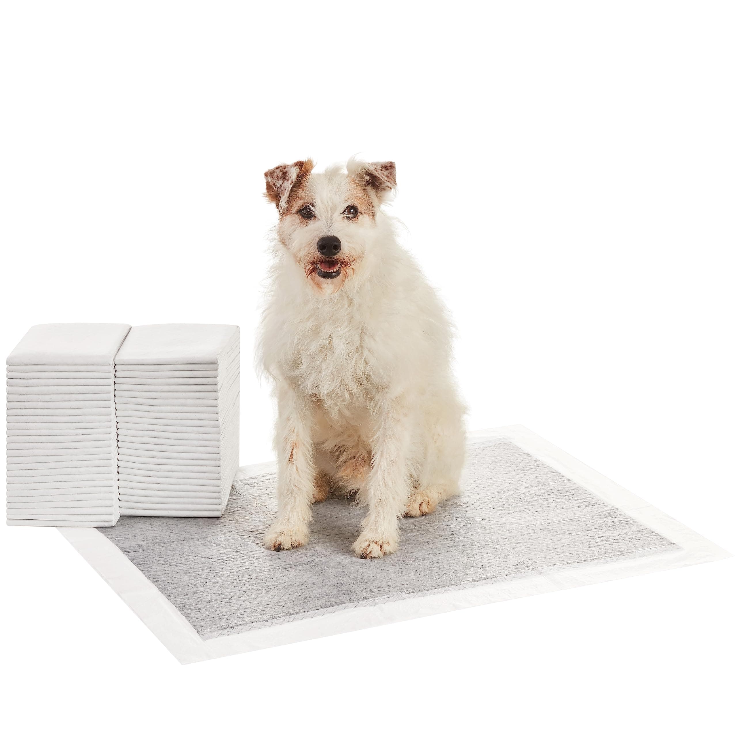 Amazon Basics Carbon Odor-Control Dog and Puppy Pee Pads, 5-Layer Leak-Proof Super Absorbent, Quick-Dry Surface, Potty Training, X-Large (28x34"), 50 Count, Gray X-Large (50 Count)