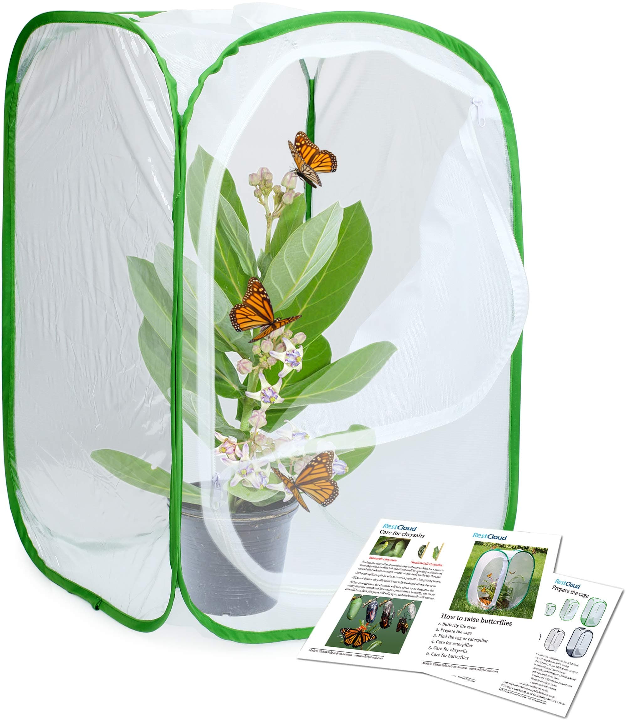 RESTCLOUD Insect and Butterfly Habitat Cage Terrarium Pop-up 23.6 Inches Tall White With Green 15.7 x 15.7 x 23.6 inches