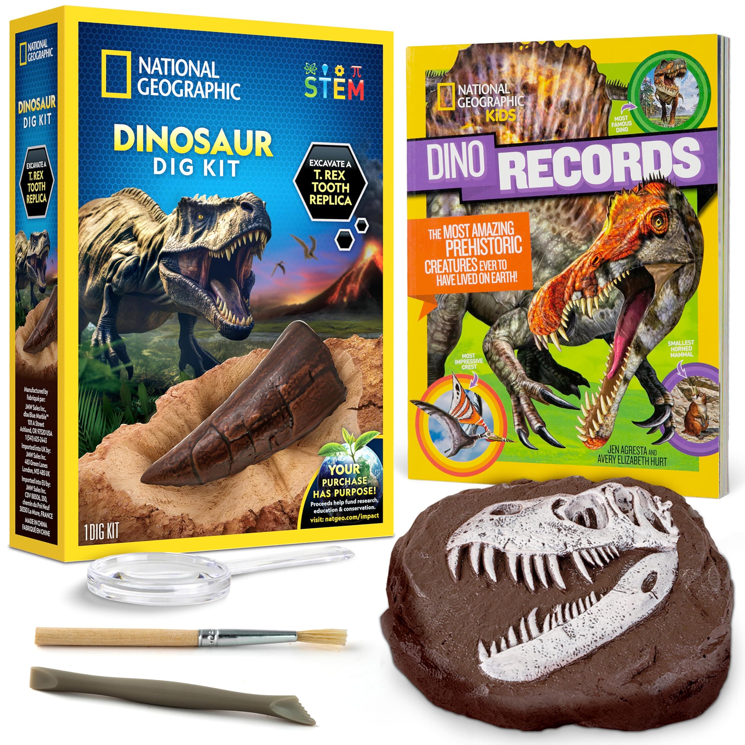 NATIONAL GEOGRAPHIC Dino Fossil Dig Kit & Dinosaur Book for Kids- Excavate a Replica Dinosaur Tooth Fossil and Study Paleontology with a Full-Color Dinosaur Activity Book for Kids (Amazon Exclusive) Ultimate Dino Kit