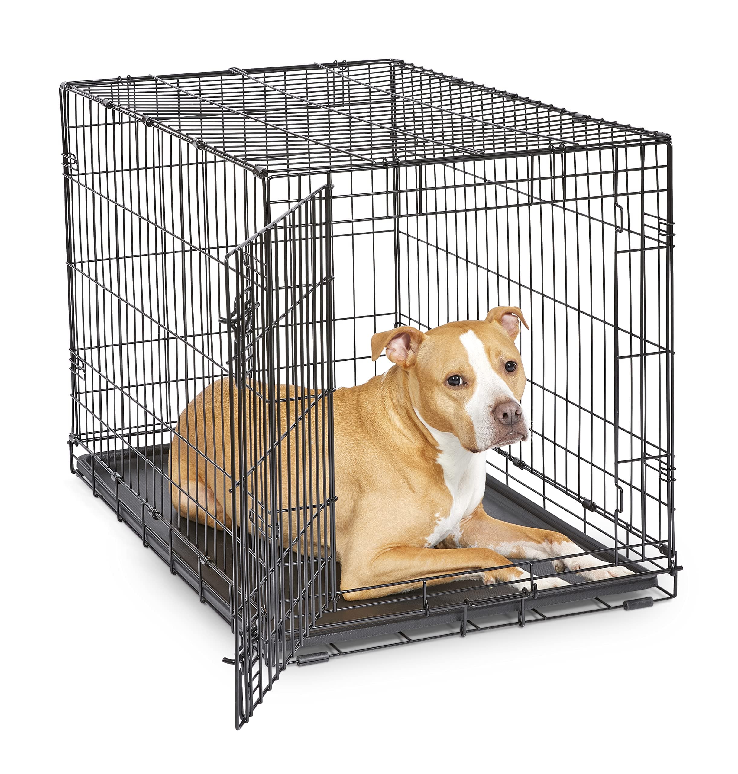 New World Single Door Folding Metal 36-Inch Dog Crate, Includes Leak-Proof Pan, Floor Protecting Feet, & New Patented Features, for Medium to Large Sized Breeds